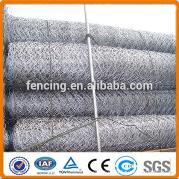 Anping maille hexagonale / Lowes Chicken Wire Mesh Roll à vendre
